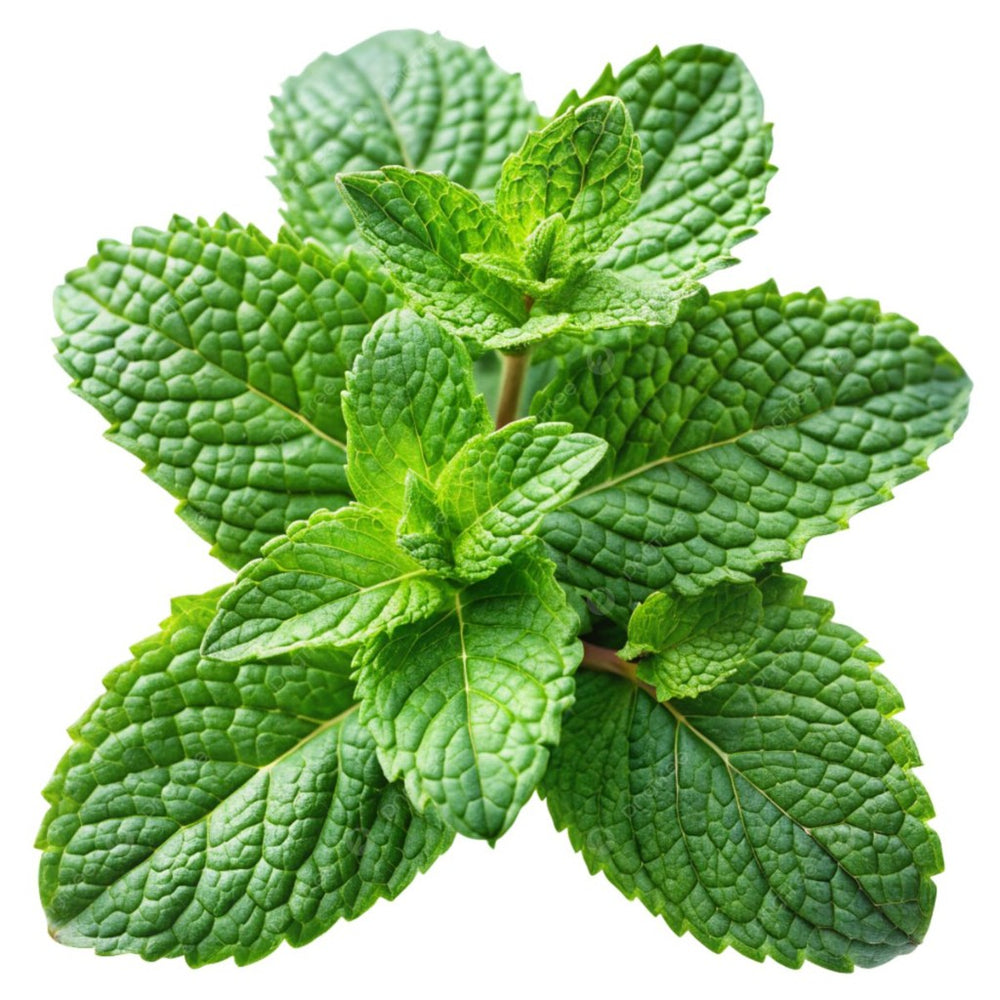 crop-1790011071141.jpg